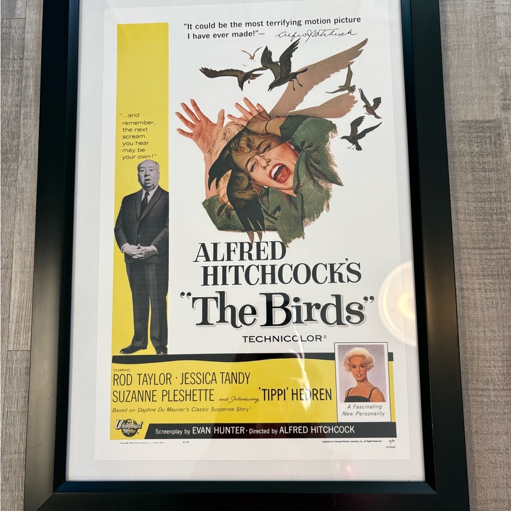 Alfred Hitchcock Presents The Birds Framed 21x15 Movie Poster